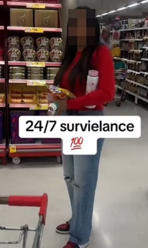 1747183119757.png