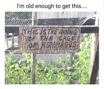 1747199016057.png
