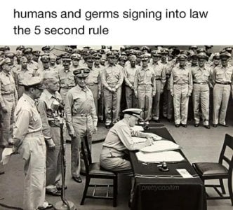 ej5t4sn6zkze1.jpeg