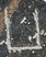Hieroglyph1 8 (1).png