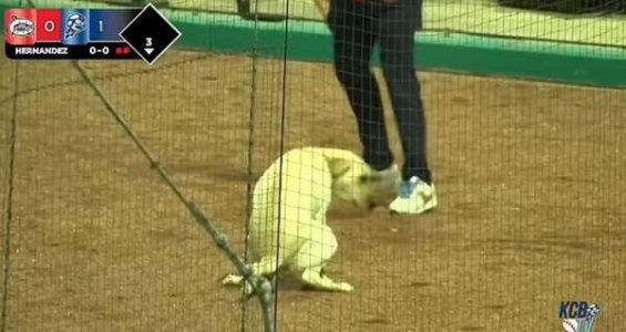 compressed-Baseball 2.jpeg