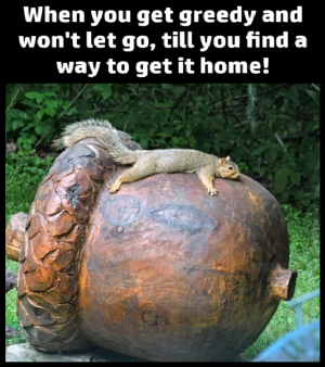 1747720236632.png