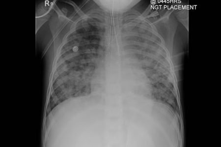 image7.png