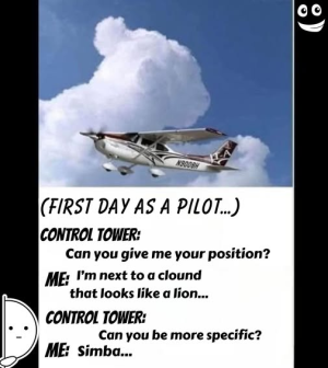 1747916570586.png