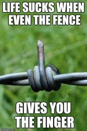 finger.jpg