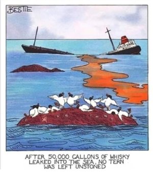 50,000 gallons whiskey leaked.jpg