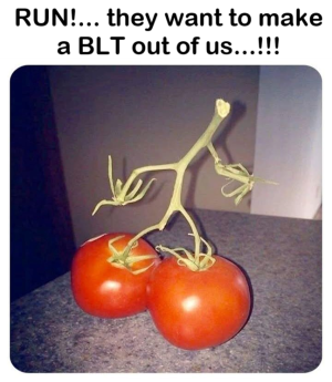 1748758119746.png
