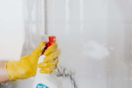compressed-pexels-bathroom cleaning.jpeg