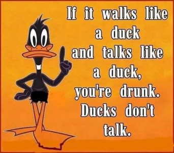1748847304944.png
