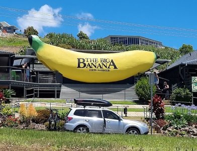 960px-Australian_Icon_'_The_Big_Banana'_located_in_Coffs_Harbour,_Australian_icon_(cropped).jpg