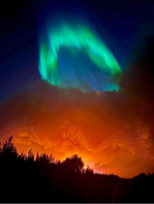 1749006935463.png