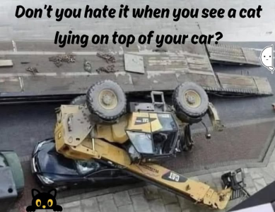 1749010916003.png