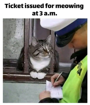 1749014361534.png
