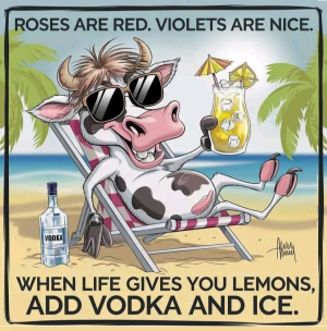 1749099423893.png