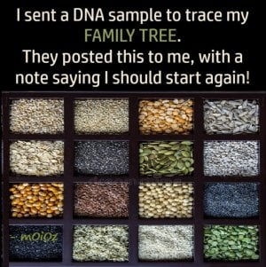 DNA test famiy Tree post.jpg