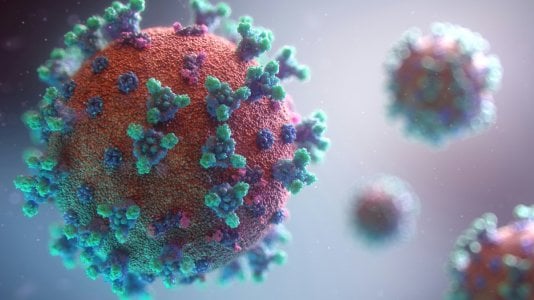 fusion-medical-animation-rnr8D3FNUNY-unsplash.jpg fusion-medical-animation-rnr8D3FNUNY-unsplash.jpg