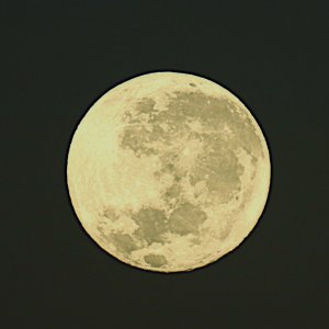 IMG_2336.JPG