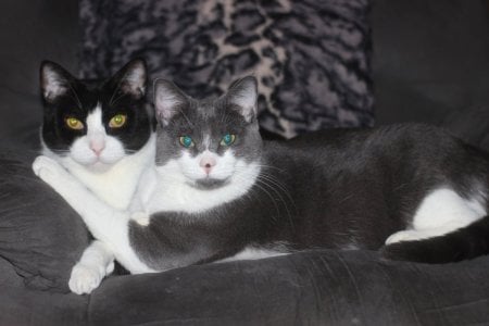 Bilbo and Missy.jpg