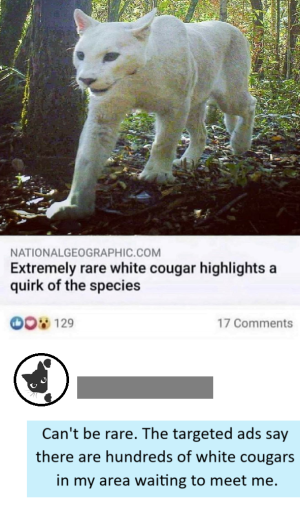 1749883534356.png