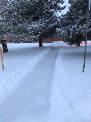 photo snow Colorado.jpg