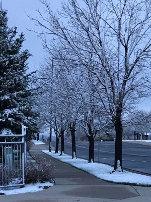 angie street snow.jpg