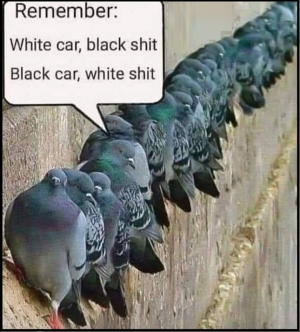 1749949859651.png