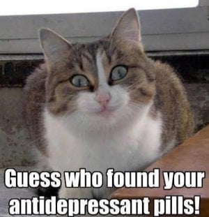Who Found Your Antidepressants Then.jpeg