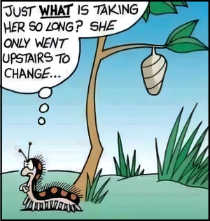 1750154131806.png