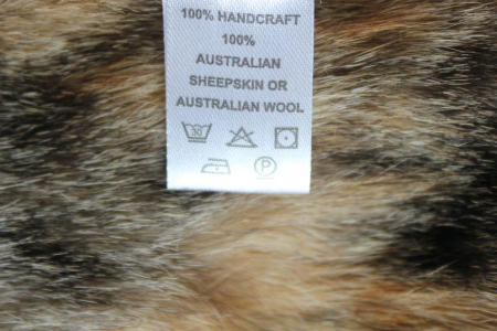 image5.png