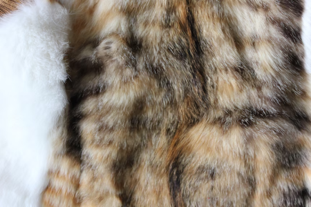 image3.png