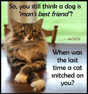 think dog best friend.jpg