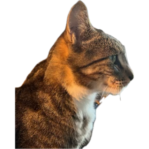 1751078292727.png