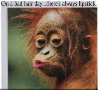 bad_hair.jpg