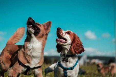 compressed-camilo-fierro-z7rcwqCi77s-unsplash.jpeg compressed-camilo-fierro-z7rcwqCi77s-unsplash.jpeg