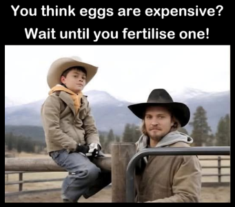 1751868696527.png