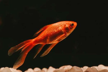 compressed-slnc-BqtZrxHS6IQ-unsplash.jpeg compressed-slnc-BqtZrxHS6IQ-unsplash.jpeg