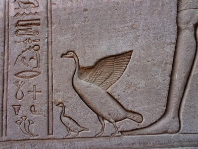 hiero3 7 (1).jpg