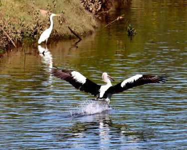 IMG_2477.JPG