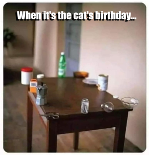 1752306804858.png