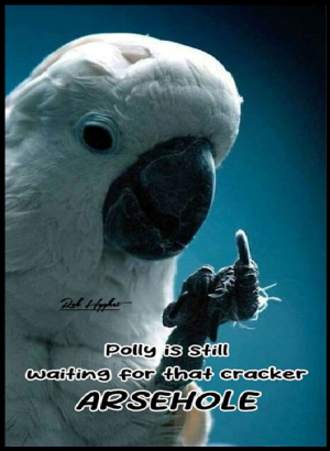 1752378795732.png