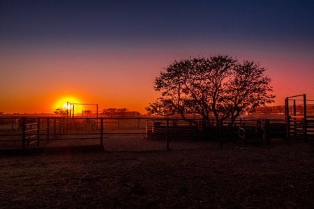 IMG_1618.jpg