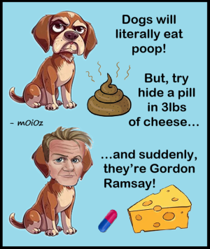 1752483003218.png
