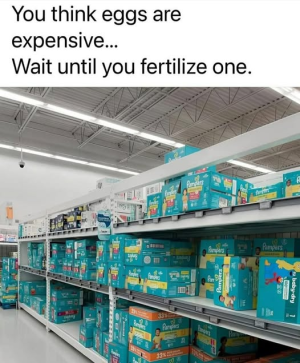 1752641506910.png
