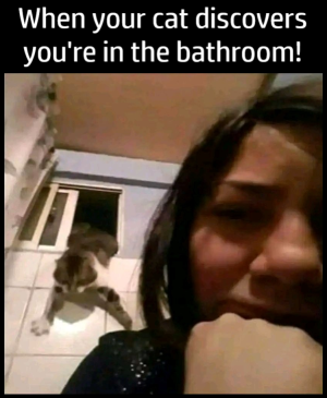 1752663503511.png
