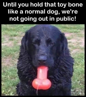 1752664380424.png