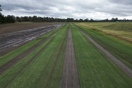 image5.jpg