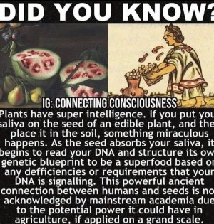 1000031330.jpg