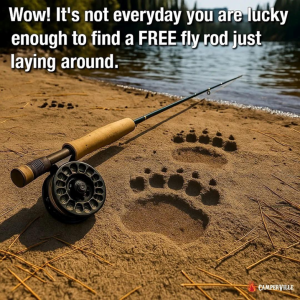 1752826938422.png