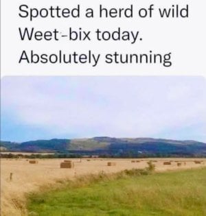 weetbix.jpg