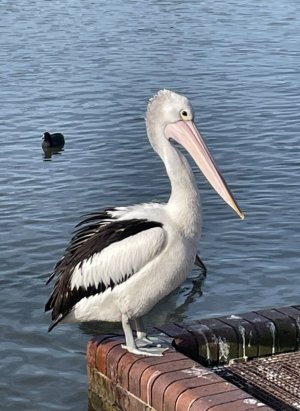 IMG_1957.jpeg